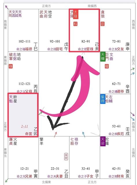 疾厄宮氣質|紫微斗數【紫微星入疾厄宮】解析